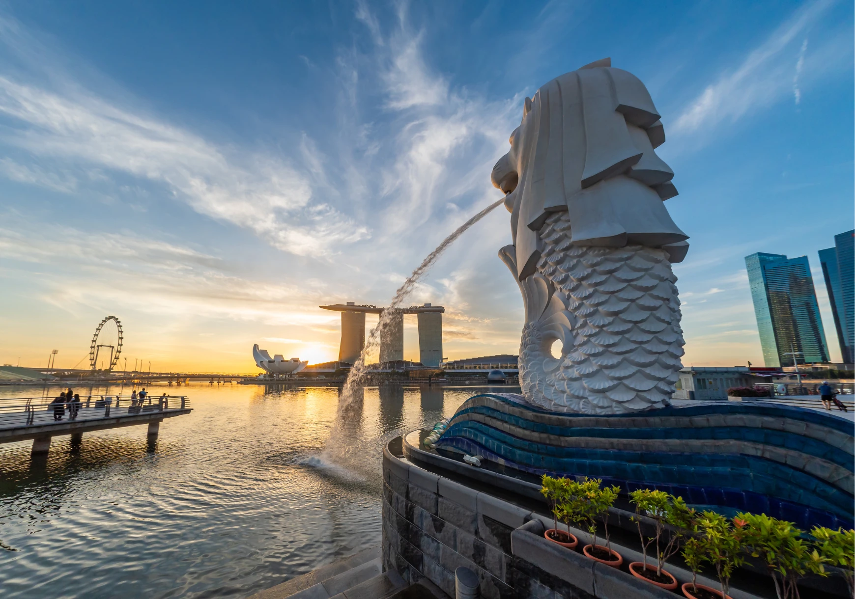 Công viên sư tử biển