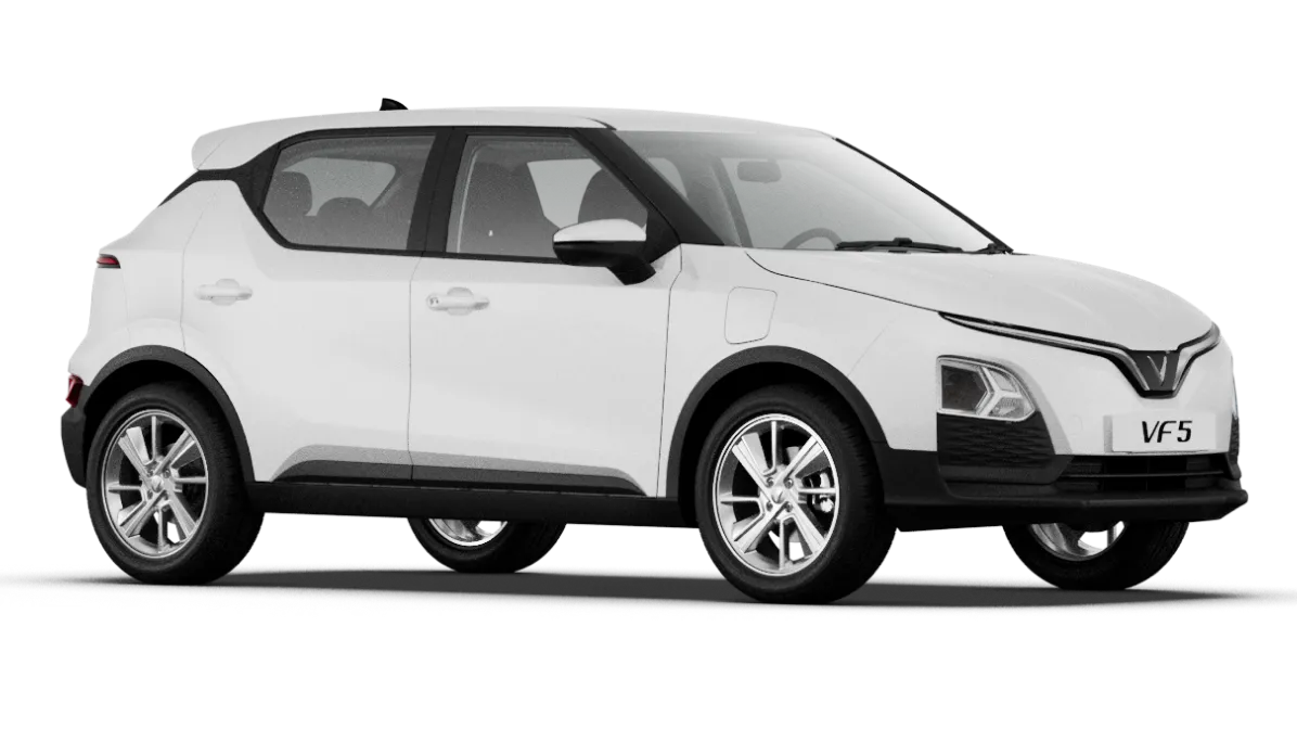 Mẫu cỡ trung thời thượng