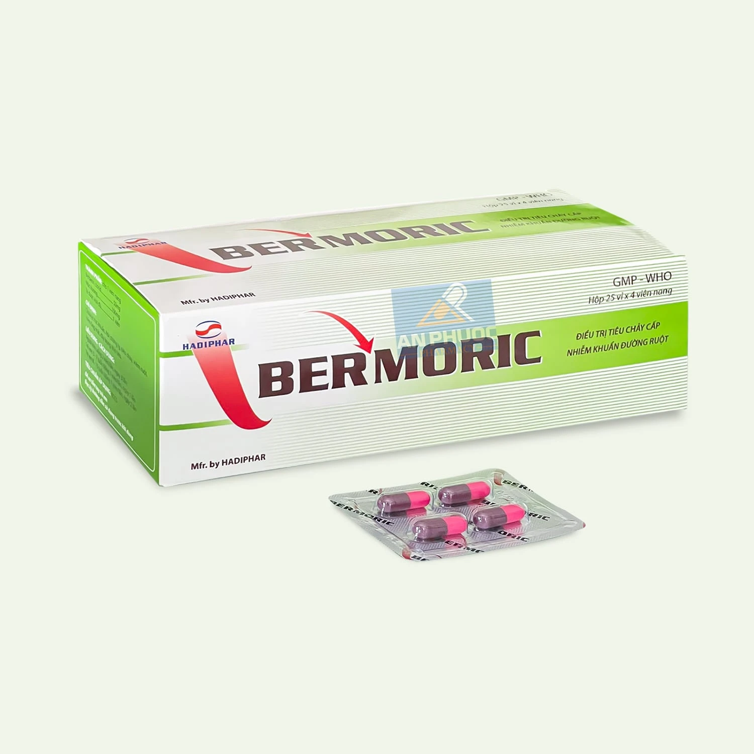 Thuốc trị tiêu chảy Bermoric® (berberin)