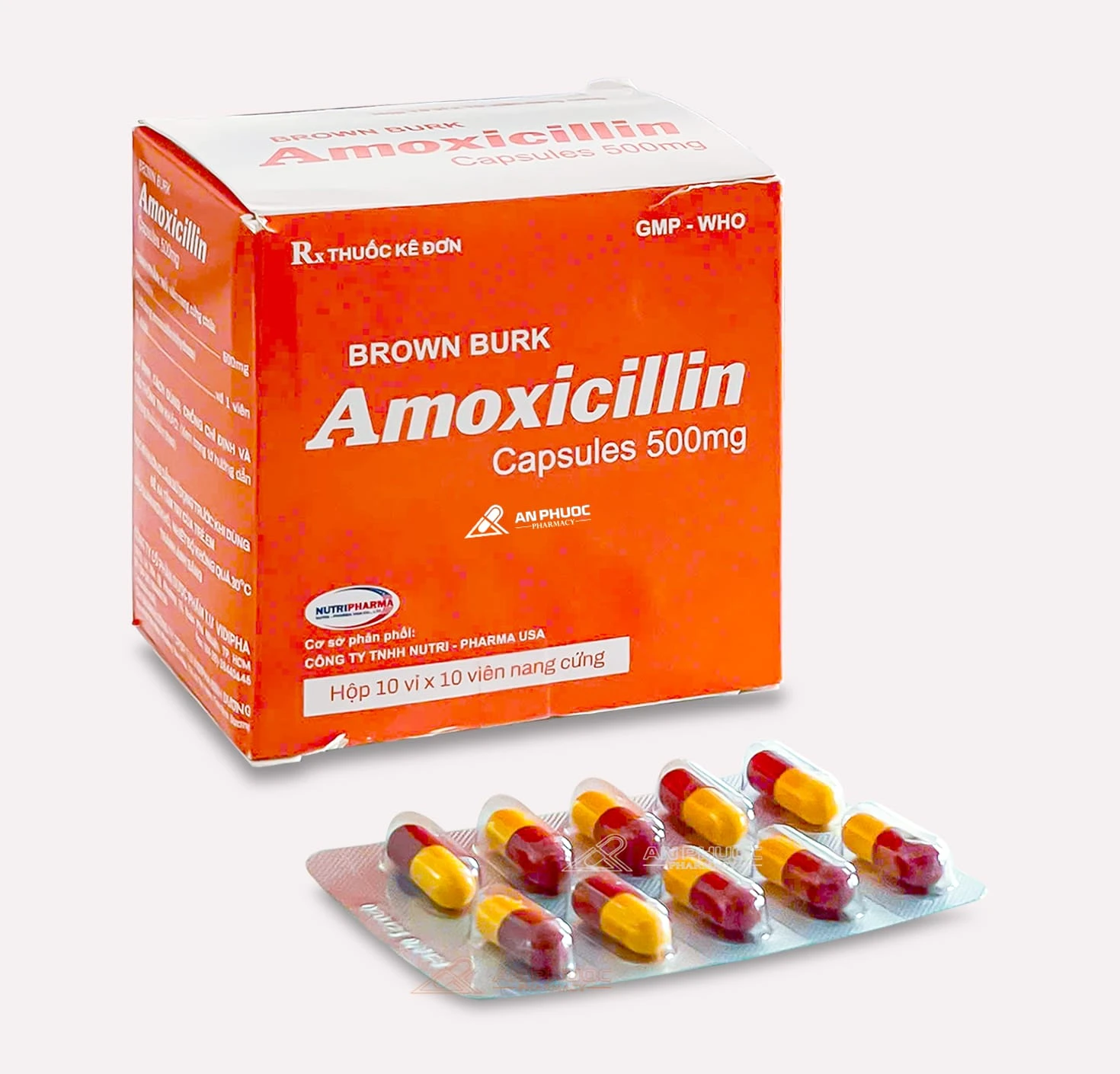 Thuốc kháng sinh Amoxicillin® capsules 500mg | Brown Burk | Hộp 100 viên