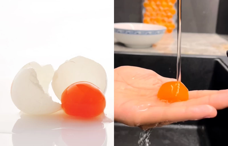 Thiết kế chưa có tên (11)